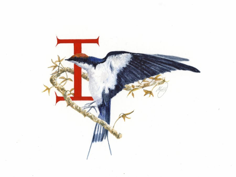 Illustrated letter 'I'