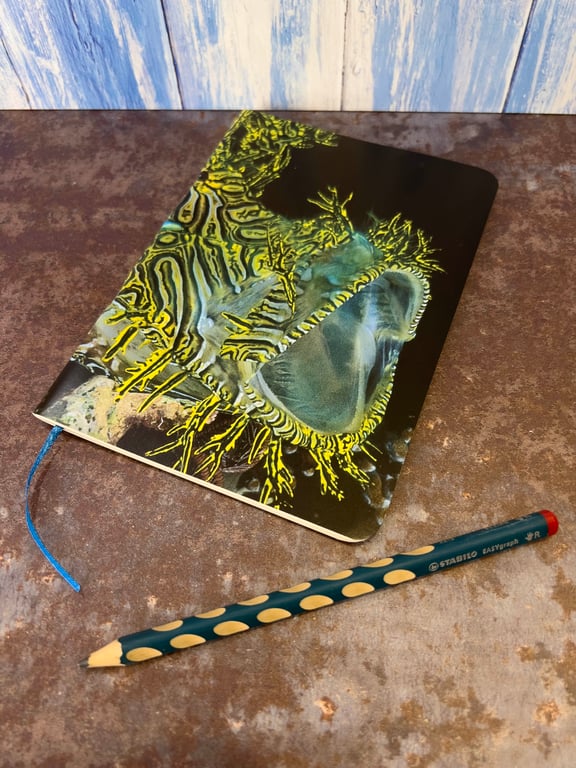 Notebook, Marine themed, A5 (ish), made from up-cycled and recycled materials.