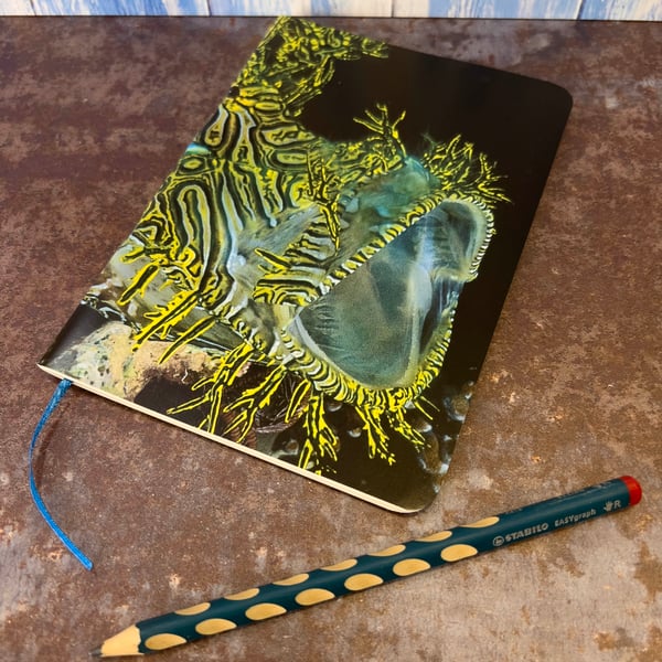 Notebook, Marine themed, A5 (ish), made from up-cycled and recycled materials.