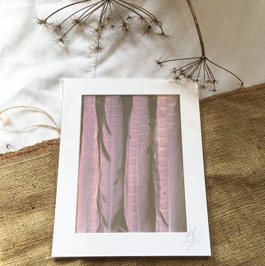 Matt FB Paper Feather Lumen Print