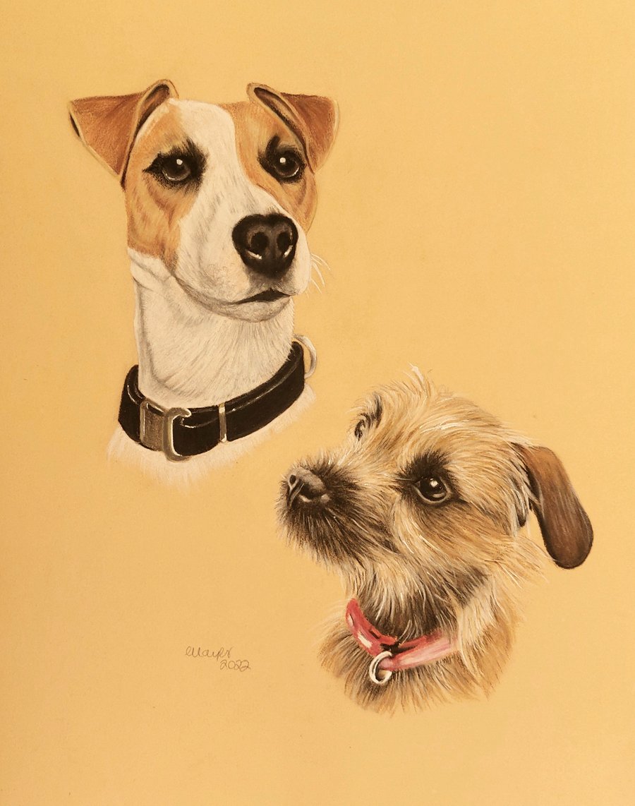 Pet Portrait In Pastel from Photographs by professional Artist Ingrid Mayes