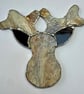 Stained glass reindeer suncatcher decoration in creamy browns with red nose - Image 5