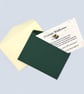 Set of 8 Plantable Wildflower Seed Thank You Cards with Green & Cream Envelopes - Image 3