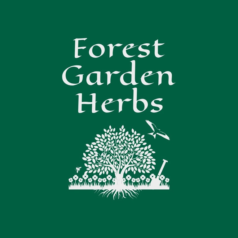 Forest Garden Herbs