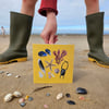 'Beachcombing' card, shells, seaweed, feathers, mermaid's purse, starfish