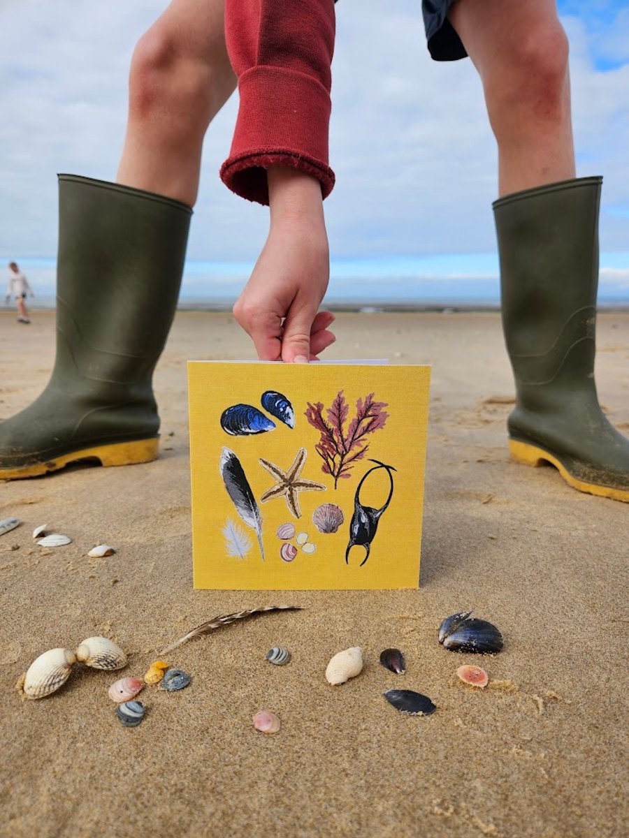 'Beachcombing' card, shells, seaweed, feathers, mermaid's purse, starfish
