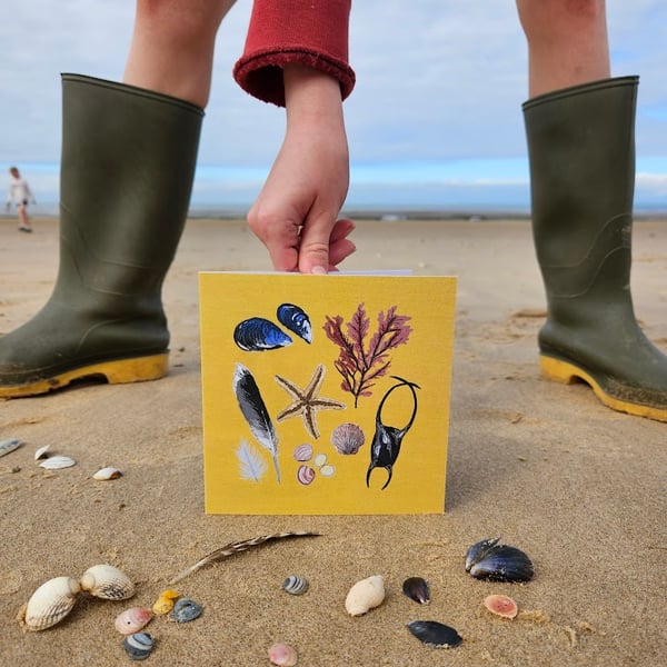 'Beachcombing' card, shells, seaweed, feathers, mermaid's purse, starfish