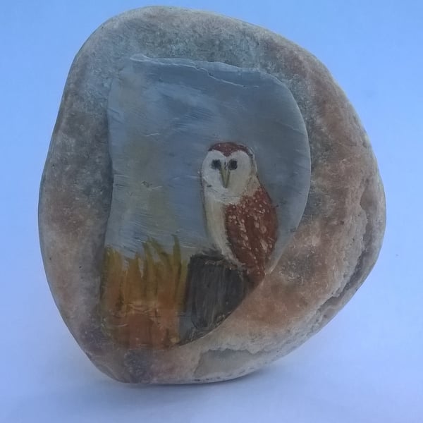 illustrated  ,,'night owl' on  shell