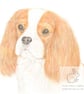 Maisie the Cavalier - Blank Card - Image 1