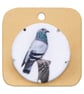 Pigeon brooch - Image 9