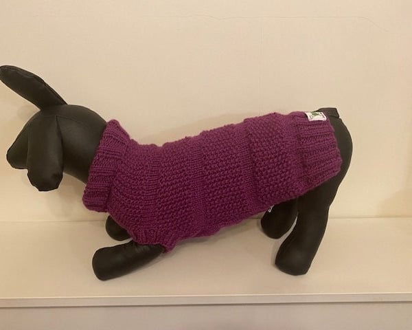 Dog Jumper - Ideal for a Miniature Dachshund or Small Dog, Roll Neck 