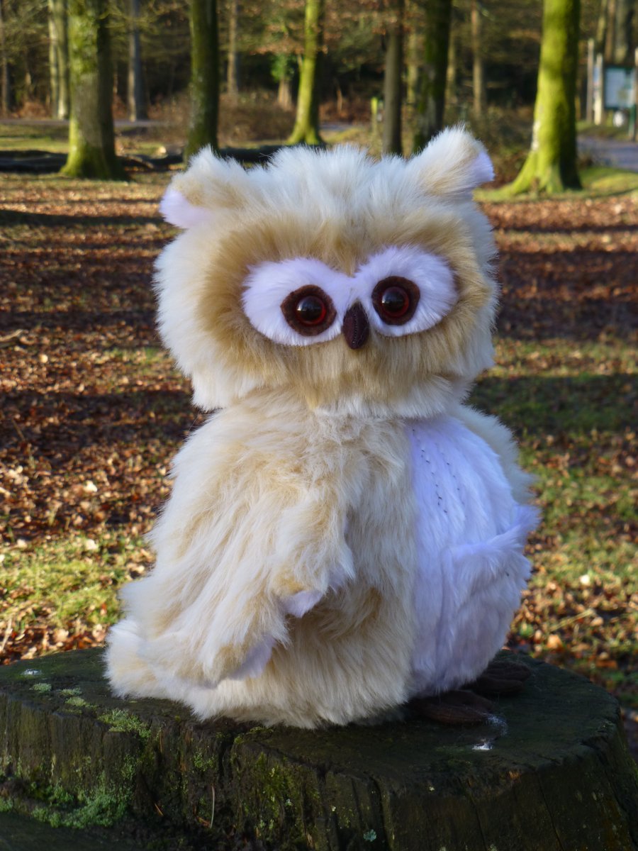 Iris dream keeper owl