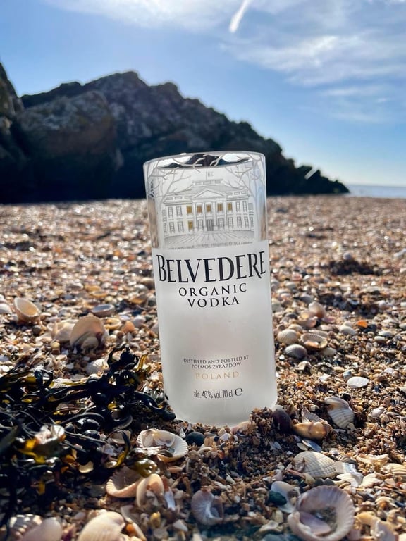 Belvedere vodka Glass - Upcycled 