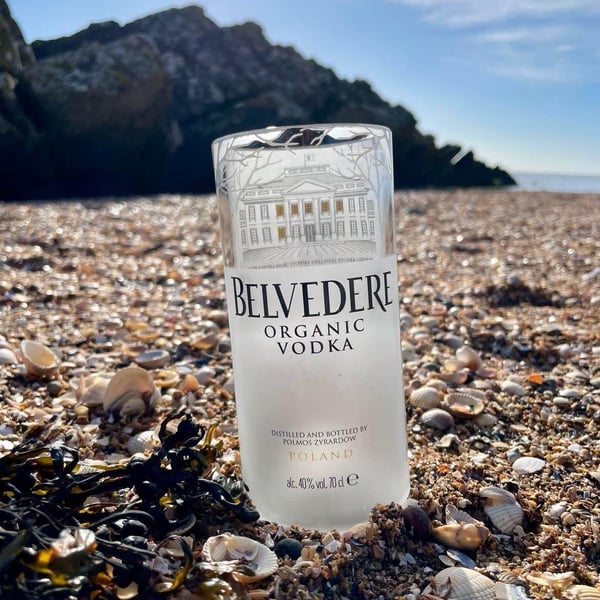 Belvedere vodka Glass - Upcycled 