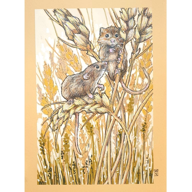Harvest Mice in a Wheat Field original artwork, A5 drawing, Animal wall art