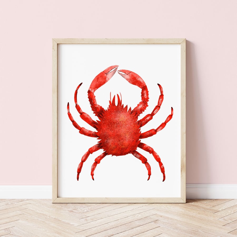 Cornish King Crab A4 Art Print - Cornwall Art Print