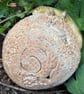 Stoneware sphere with lizard - Image 4
