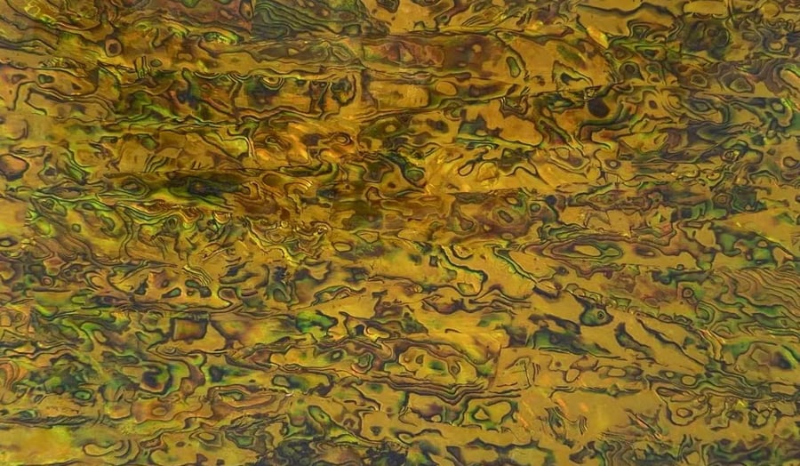 HM075 - Golden Abalone Shell Sheet: Iridescent Inlay Material (240mm x 140mm)