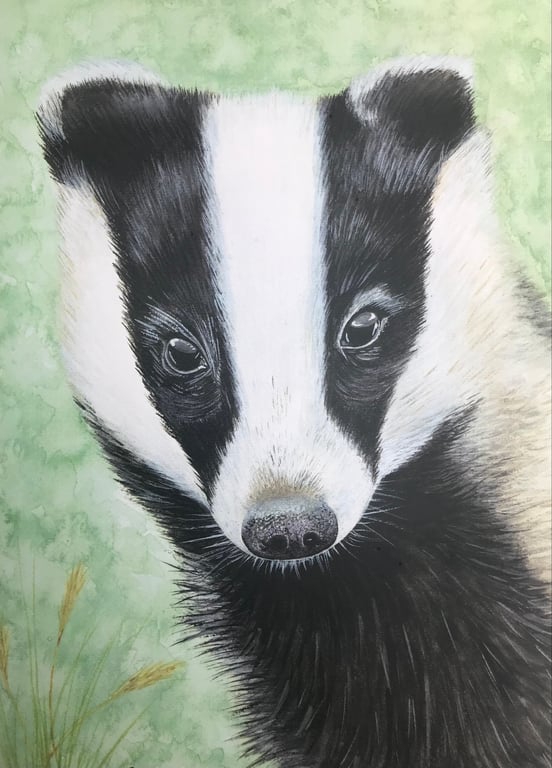 “Brock” European Badger greetings card or mini print to frame 