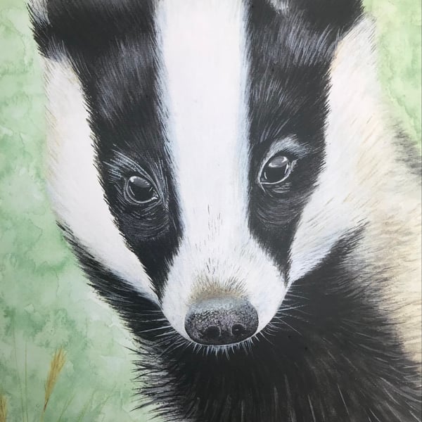 “Brock” European Badger greetings card 
