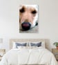 Golden Retriever Dog Portrait Photograph Print - Image 5