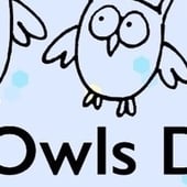 Two Owls Design