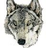 Wolf print Wolf head portrait 8x11 Giclee archival print