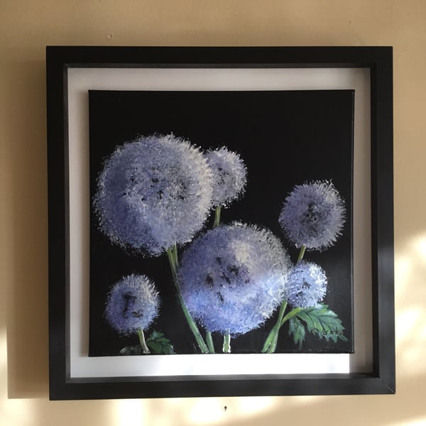 Globe Thistles. Acrylic Framed