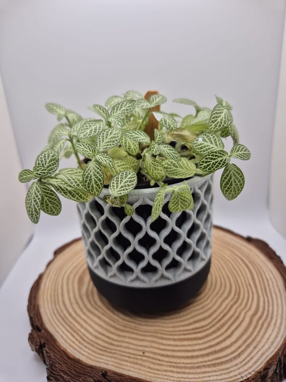 Willow Lattice indoor plant pot - 3d printed planter - home decor, house warming