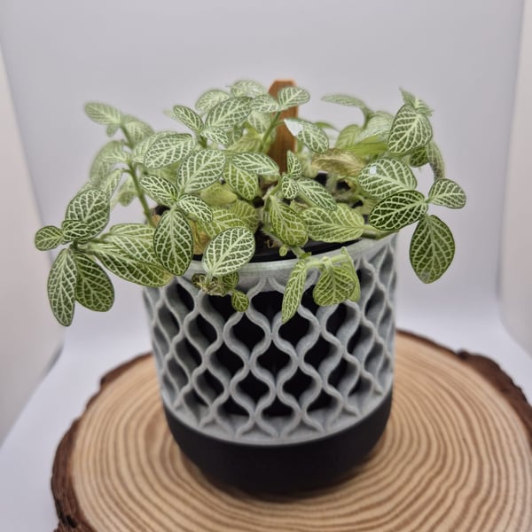 Willow Lattice indoor plant pot - 3d printed planter - home decor, house warming