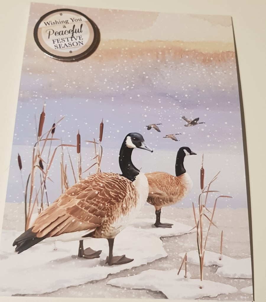 Gorgeous Geese Christmas card