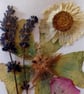 Exquisite Handmade pressed flower card. Original design. A6 size. 4x6inch - Image 2