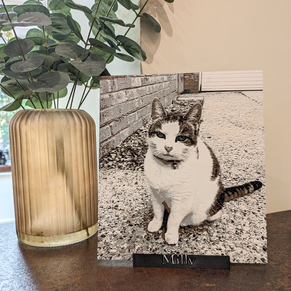 Personalised 3D textured Pet Portrait - Individually designed and hand finished