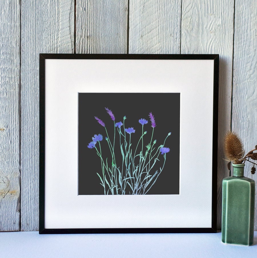 Lavender and Cornflower Fine Art Print