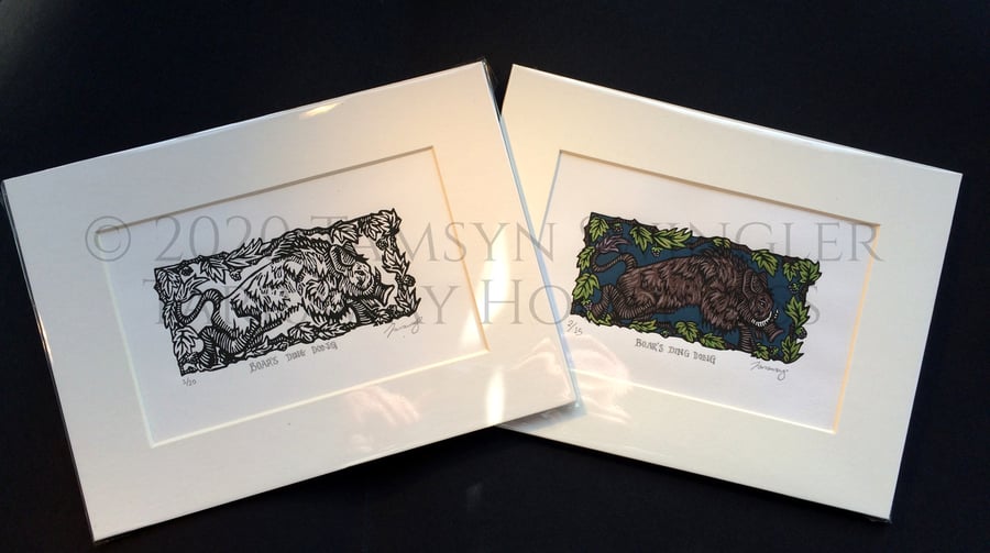 Boar's Ding Dong - Limited Edition Print - Available in B&W & In Full Colour 