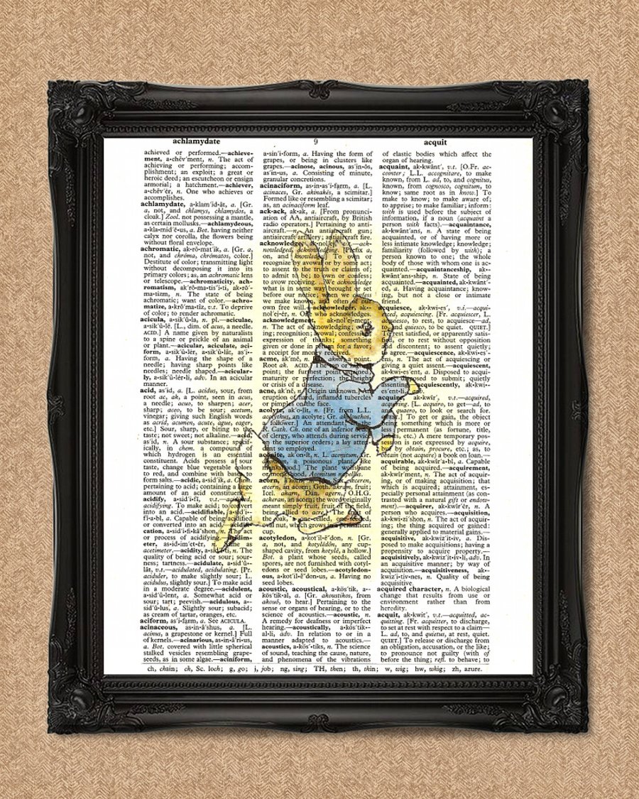 PETER RABBIT DICTIONARY PRINT Beatrix Potter Bunny Illustration A119D