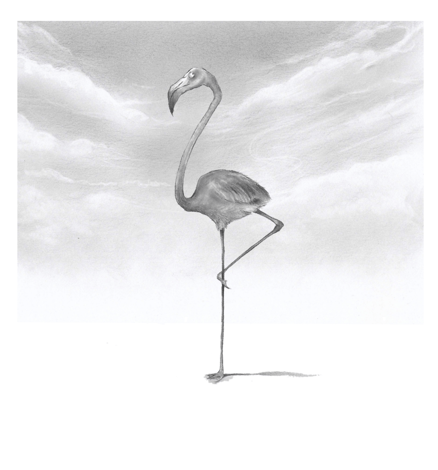 Flamingo greeting card, bird art, birthday, thank you, occasion, blank card,