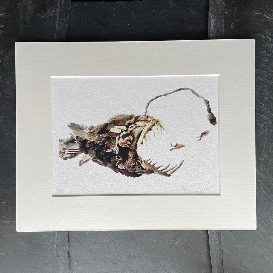 Driftwood Angler Fish Giclee Print, Fish Art, matted A5