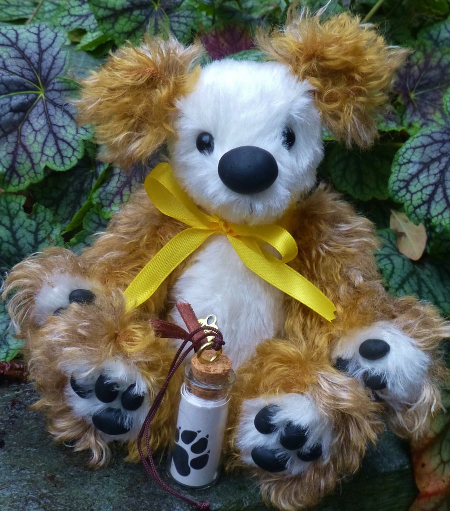 'Pumpkin'. A bear with a special message in a bottle