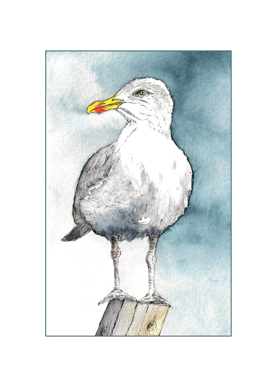 Portrait of a Herring Gull - Watercolour & Ink Eco Friendly Art Print (A4)