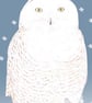 Snowy Owl - Birthday Card - Image 2