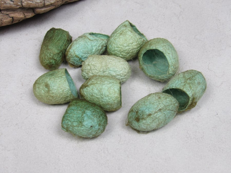10 Pale Forest Green Naturally Dyed Silk Cocoons
