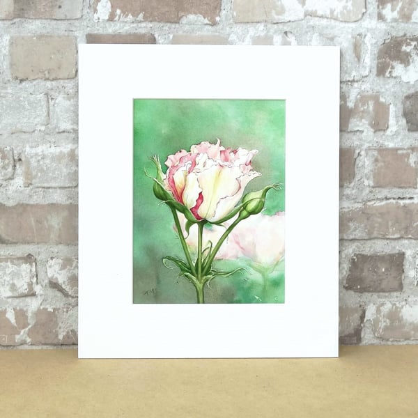 Rose Art Watercolour Painting Floral Rose 'Eyes For You'