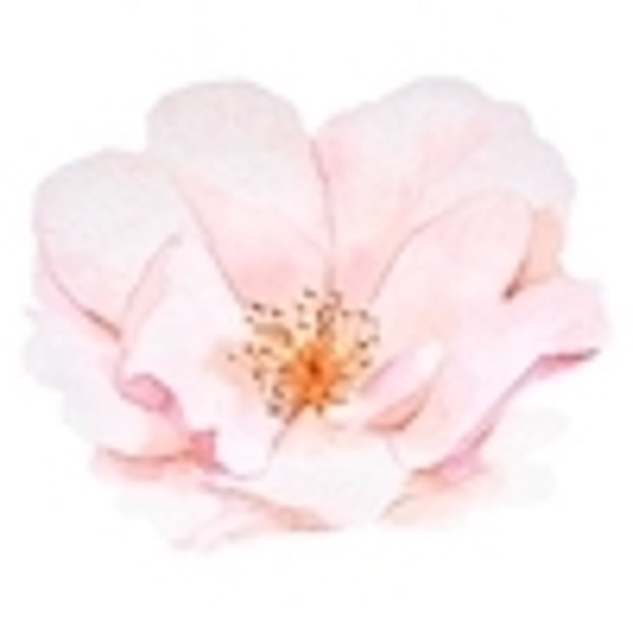 Reserved for Sarah Wadeson