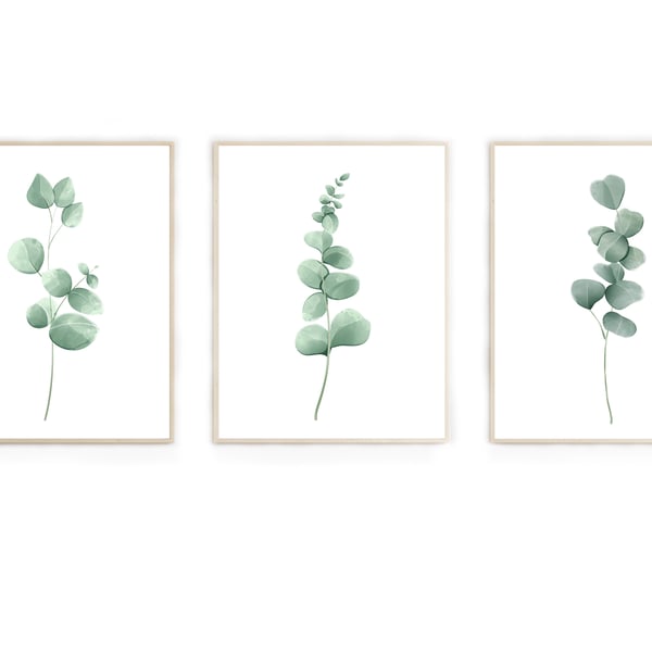 Eucalyptus wall prints, eucalyptus wall decor, botanical wall art prints