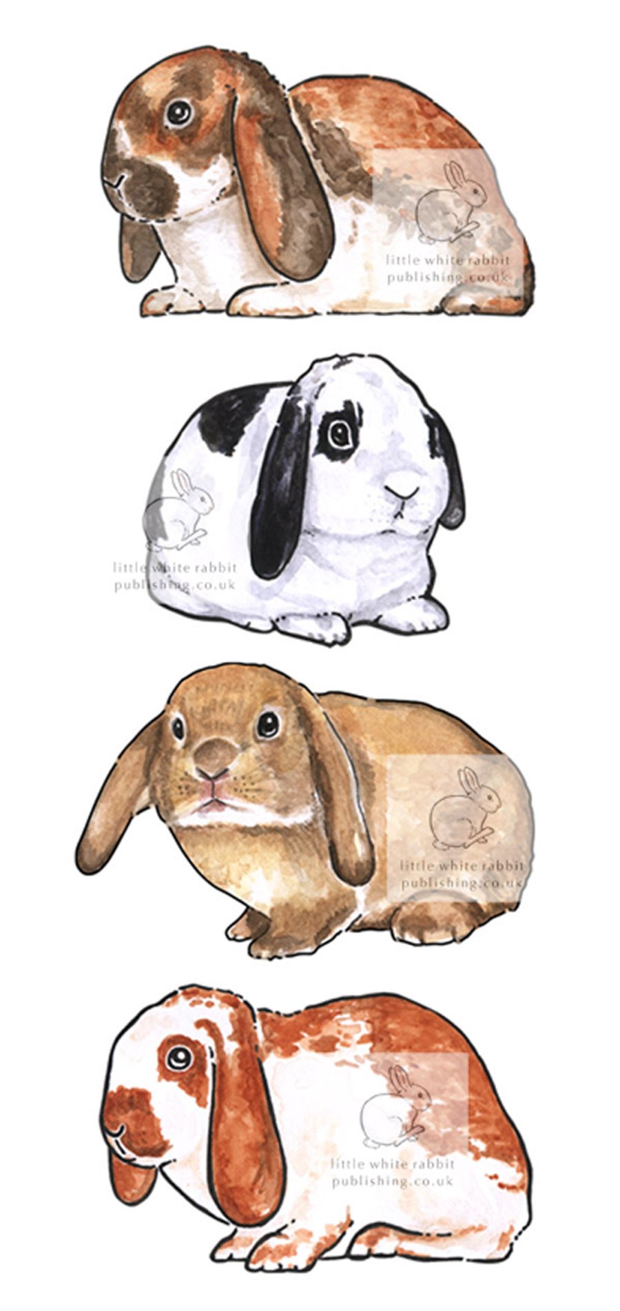 Four Lop Bunnies - Blank Card