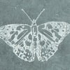 Painted Lady butterfly linoprint