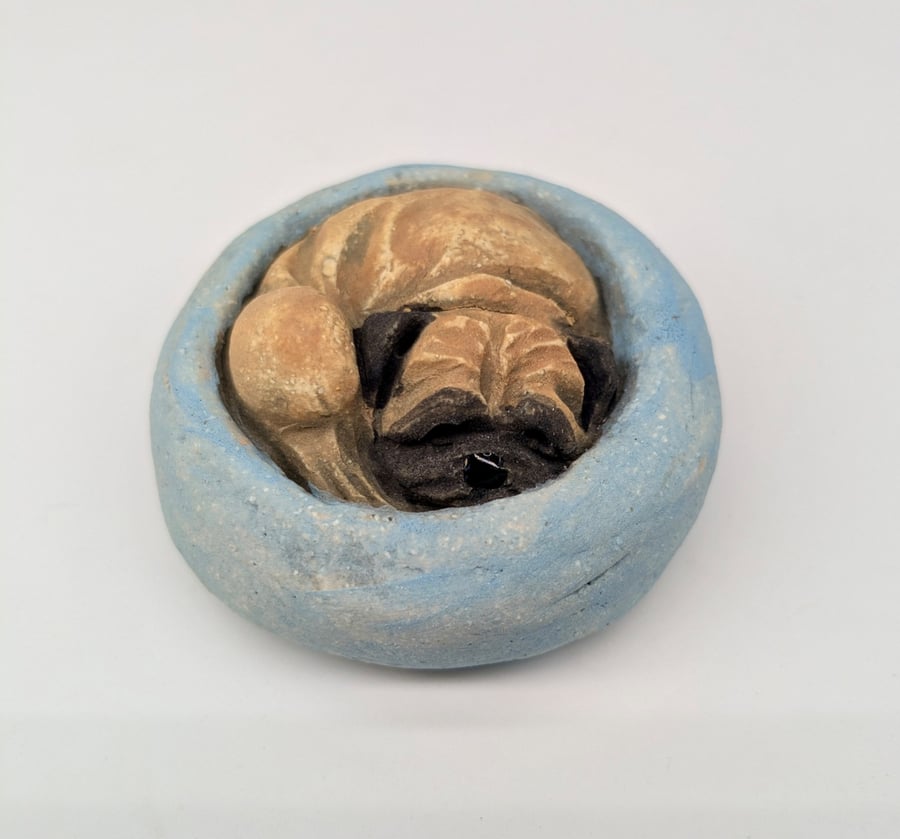Yorkshire Pudding - Pug in blue bed
