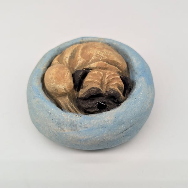 Yorkshire Pudding - Pug in blue bed