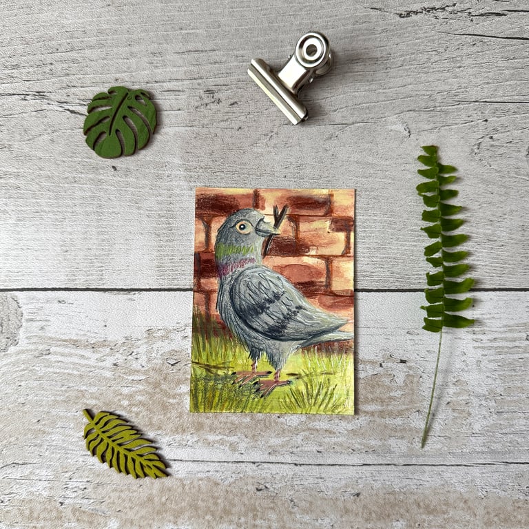 Pigeon Small Original ACEO painting - One of a kind